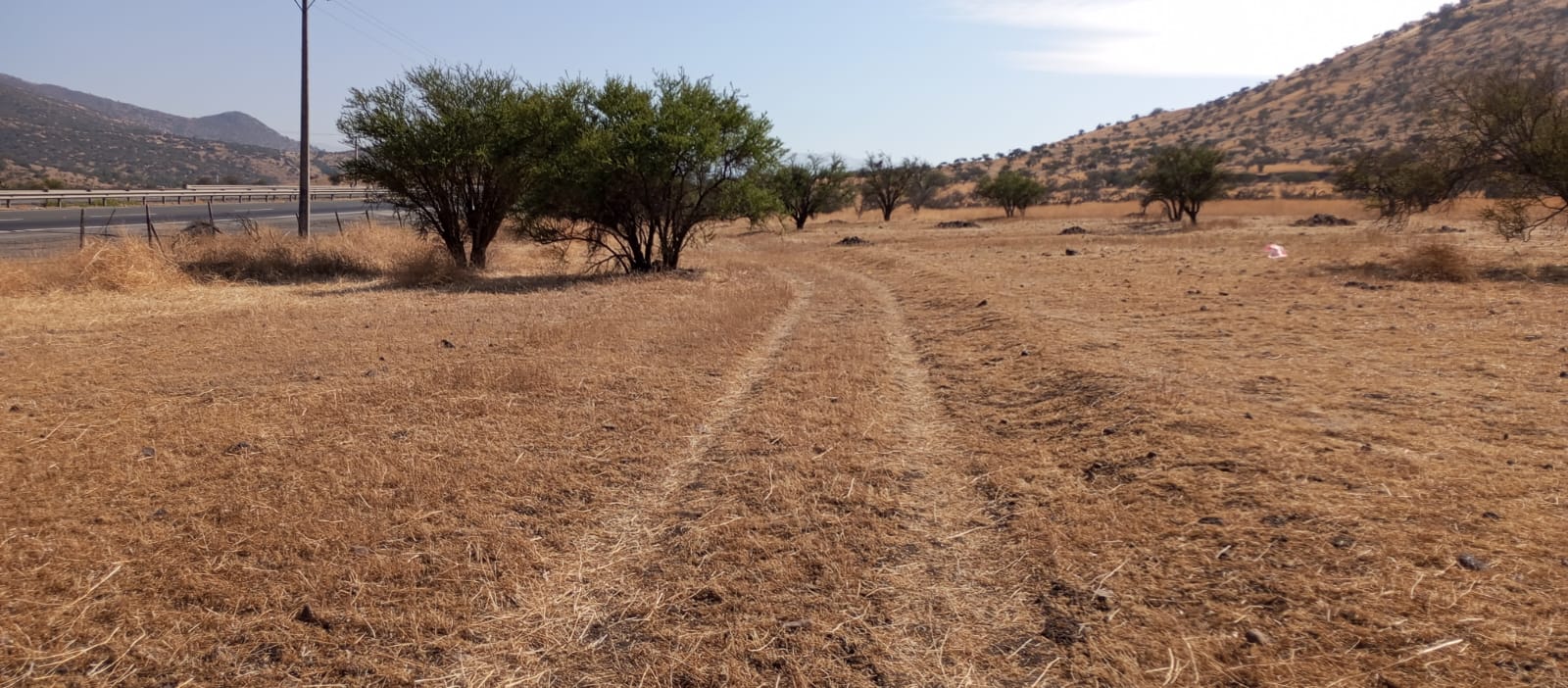 PHOTO-2023-12-02-14-00-58