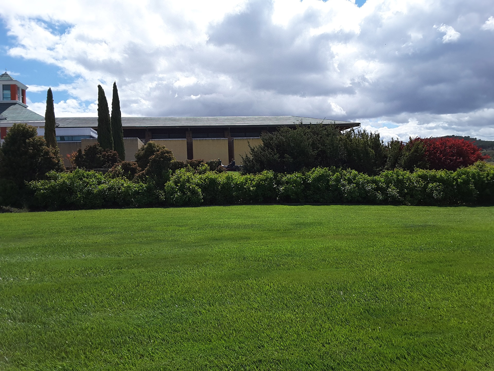 mantenimiento-de-jardines