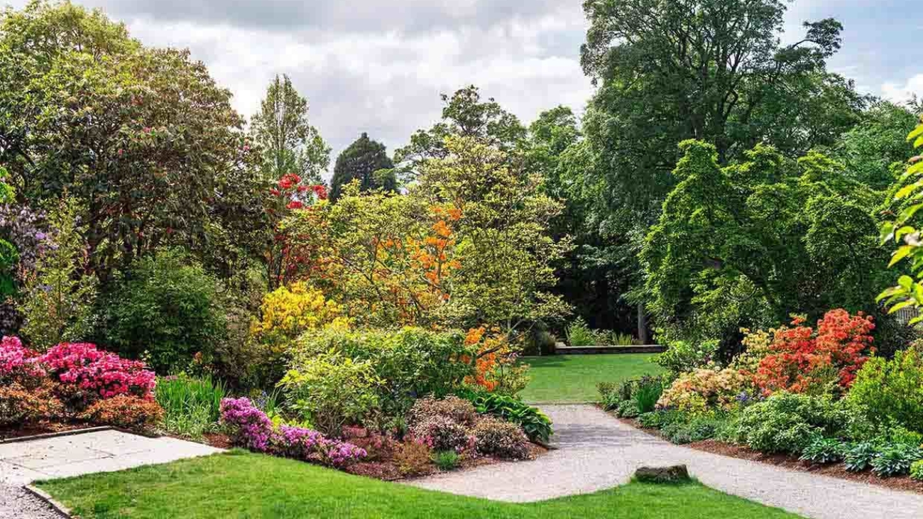 plantas de exterior para tu jardín