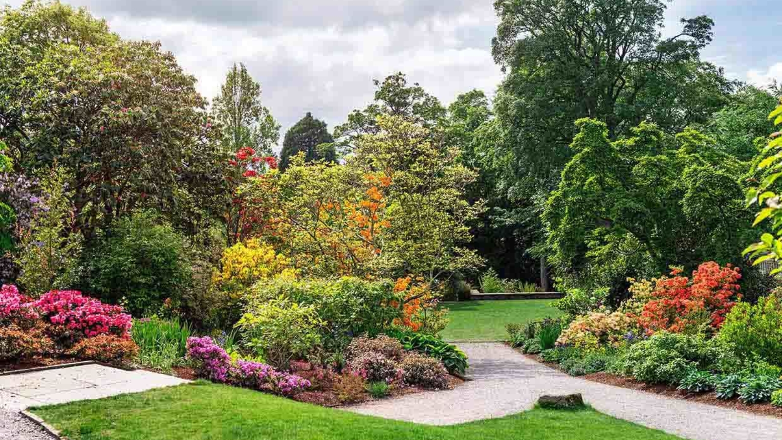 plantas de exterior para tu jardín