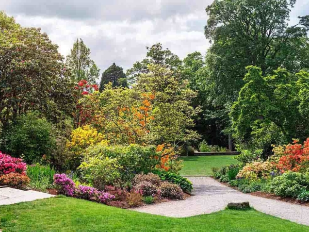 plantas de exterior para tu jardín