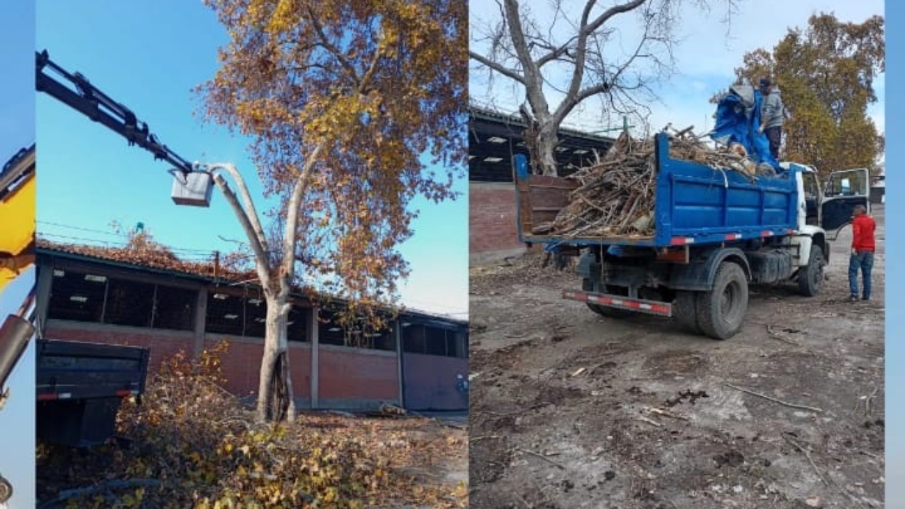 290c736e-21e9-4bf5-a597-2894c3d953ee